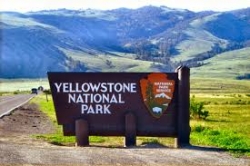 yellowstone park