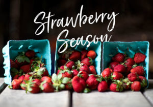 Use fresh, seasonal strawberries and dip them in your homemade whipped cream!