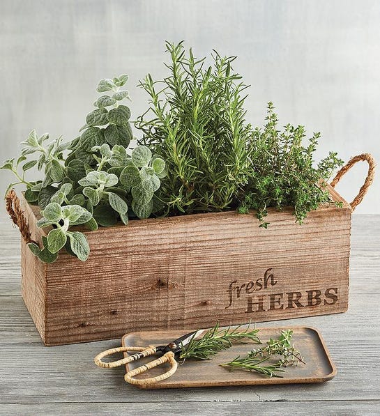 Herb Garden Box